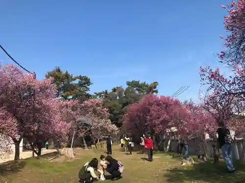 御厨神社(兵庫県)