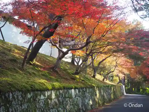 曼殊院門跡(京都府)
