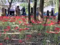 祖光院(千葉県)