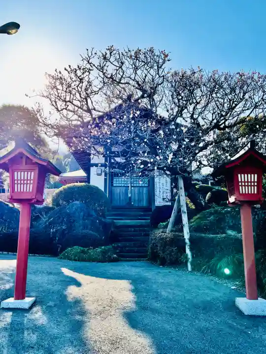 威徳院 極楽寺の{uncategorized: "未分類", other: "その他", undefined: "問題あり", building: "その他建物", grave: "お墓", sacred_gate: "鳥居", guardian: "狛犬", statue: "像", buddha: "仏像", history: "歴史", nature: "自然", garden: "庭園", animal: "動物", pagoda: "塔", temizu: "手水舎", mountain_gate: "山門・神門", sanctuary: "本殿・本堂", subordinate: "末社・摂社", art: "芸術", scenery: "景色", jizo: "地蔵", ema: "絵馬", goshuin: "御朱印", omikuji: "おみくじ", items: "授与品その他", amulet: "お守り", goshuincho: "御朱印帳", eats: "食事", festival: "お祭り", votive_dance: "神楽", shichigosan: "七五三参", wedding: "結婚式", experience: "体験その他", initially: "初詣", around: "周辺", anti_infection: "感染症対策"}