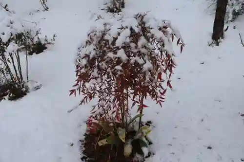 阿久津「田村神社」（郡山市阿久津町）旧社名：伊豆箱根三嶋三社の庭園