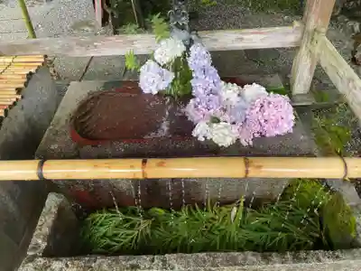 出雲大神宮の手水舎