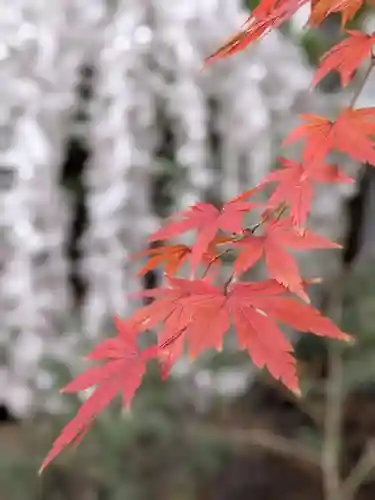乃木神社(東京都)