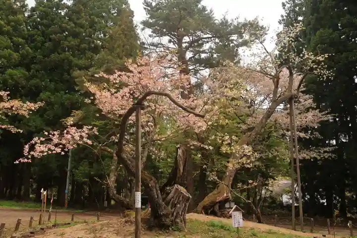 磐椅神社の自然