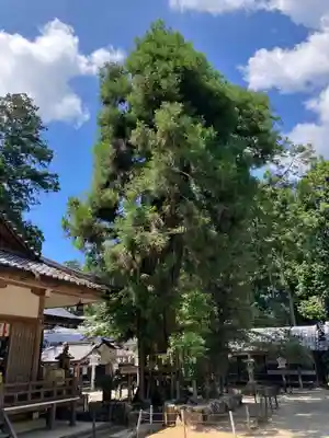 大村神社(三重県)