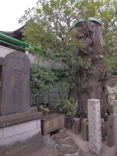 円泉寺(東京都)