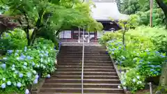 本土寺の本殿