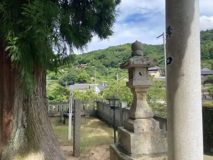 嵯峨天一神社(徳島県)
