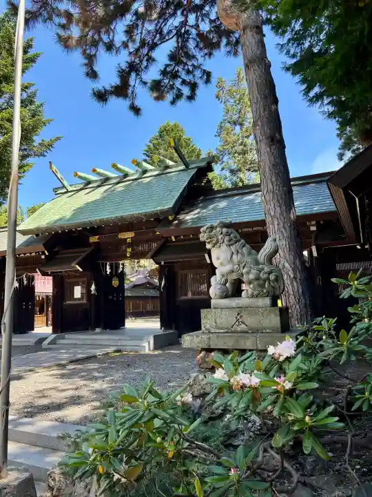 琴似神社(北海道)