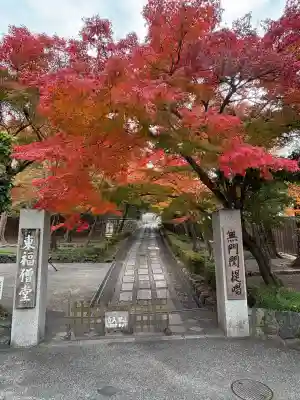 東福禅寺(東福寺)(京都府)