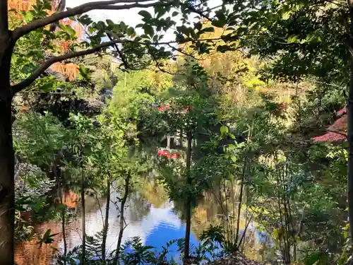 武蔵一宮氷川神社(埼玉県)