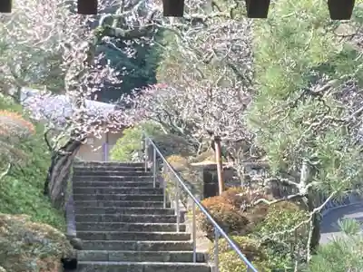 禅居院(神奈川県)
