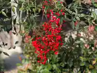 木舟山 順教寺の自然