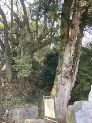 大興寺の{uncategorized: "未分類", other: "その他", undefined: "問題あり", building: "その他建物", grave: "お墓", sacred_gate: "鳥居", guardian: "狛犬", statue: "像", buddha: "仏像", history: "歴史", nature: "自然", garden: "庭園", animal: "動物", pagoda: "塔", temizu: "手水舎", mountain_gate: "山門・神門", sanctuary: "本殿・本堂", subordinate: "末社・摂社", art: "芸術", scenery: "景色", jizo: "地蔵", ema: "絵馬", goshuin: "御朱印", omikuji: "おみくじ", items: "授与品その他", amulet: "お守り", goshuincho: "御朱印帳", eats: "食事", festival: "お祭り", votive_dance: "神楽", shichigosan: "七五三参", wedding: "結婚式", experience: "体験その他", initially: "初詣", around: "周辺", anti_infection: "感染症対策"}