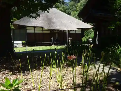 横浜　西方寺の本殿・本堂