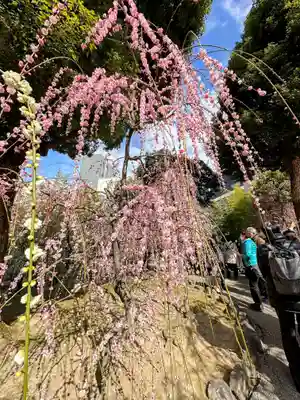 城南宮(京都府)