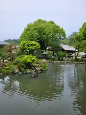 太宰府天満宮(福岡県)