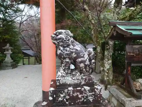 高鴨神社の狛犬