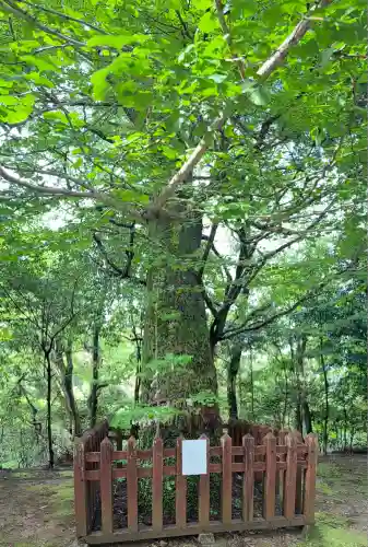 二上神社(宮崎県)