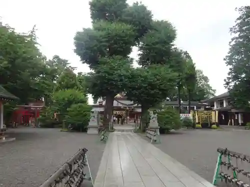 亀ケ池八幡宮の自然