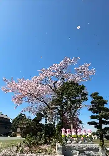 光明寺(静岡県)