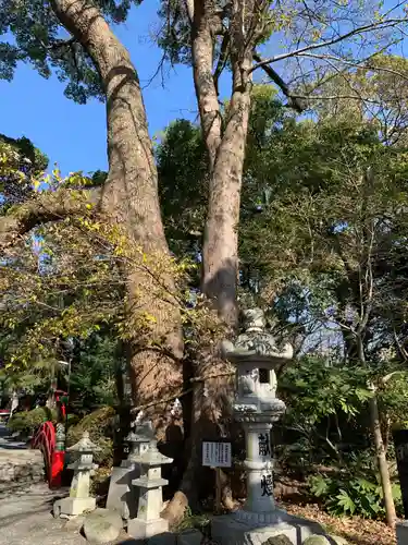米之宮浅間神社の自然