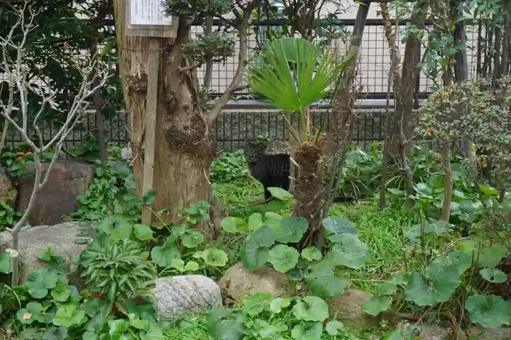 一宮神社の動物