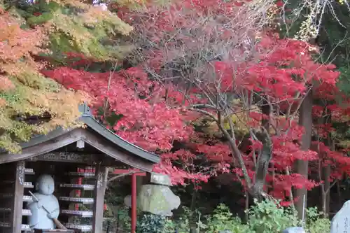 本土寺(千葉県)