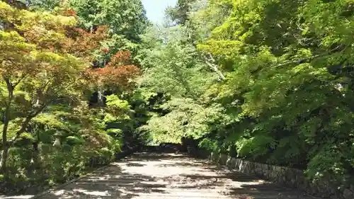 光明寺（粟生光明寺）のその他建物