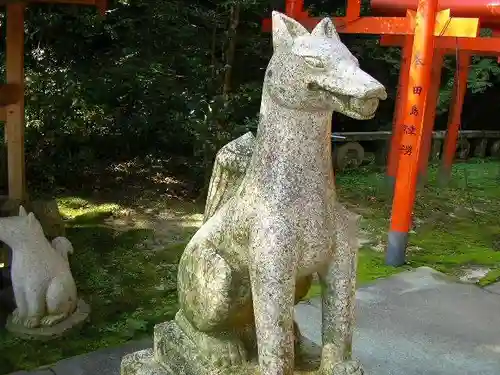 山口大神宮の狛犬