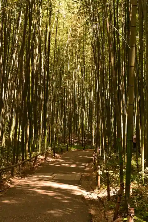野宮神社(京都府)