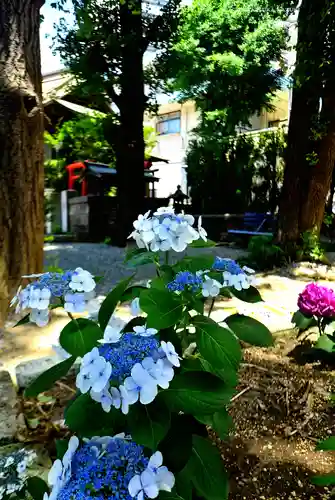 磐井神社(東京都)