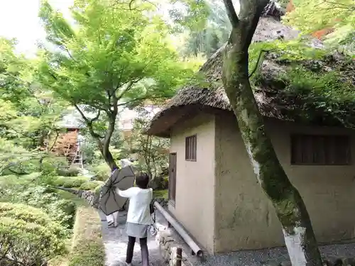 華厳寺（鈴虫寺）(京都府)