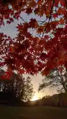 相馬神社の自然