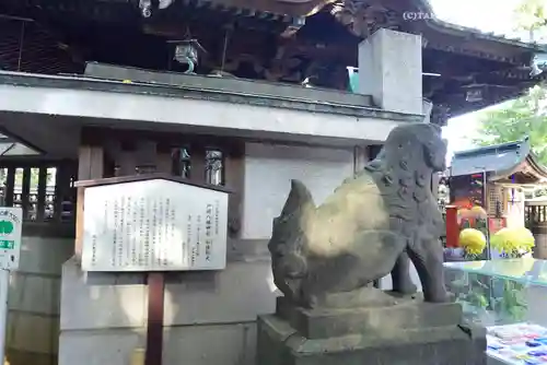戸越八幡神社の狛犬
