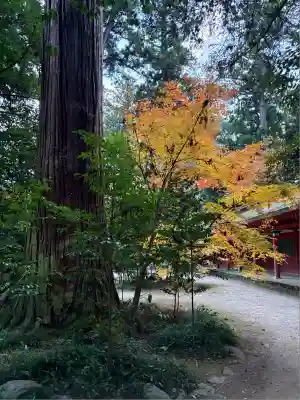 香取神宮(千葉県)