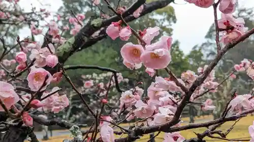 長岡天満宮(京都府)