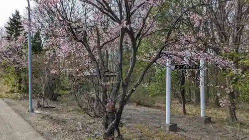 金刀比羅神宮の自然