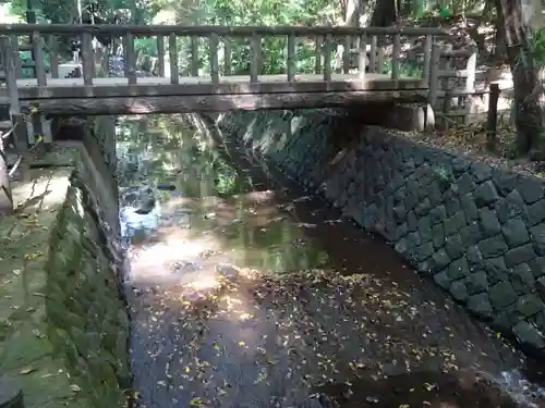 明王院（満願寺別院）の自然