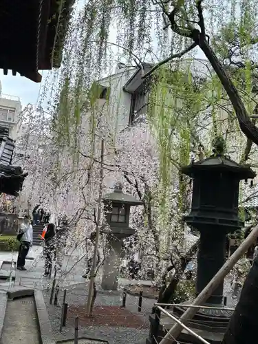 頂法寺（六角堂）(京都府)