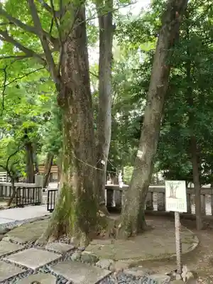 布多天神社(東京都)