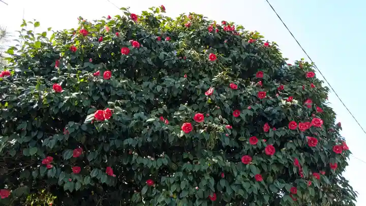 和多都見神社(愛媛県)