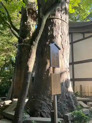 川越氷川神社(埼玉県)