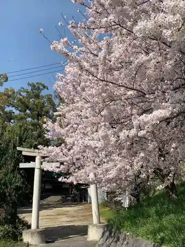 春日神社の鳥居