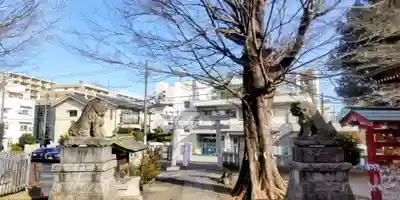 滝野川八幡神社(東京都)