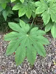 三輪神社の自然