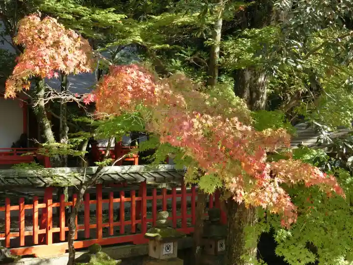 手向山八幡宮の自然