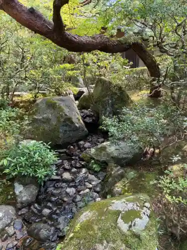 知恩院(京都府)