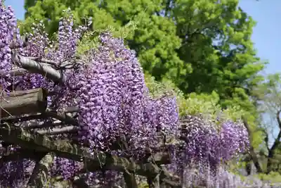 亀戸天神社(東京都)