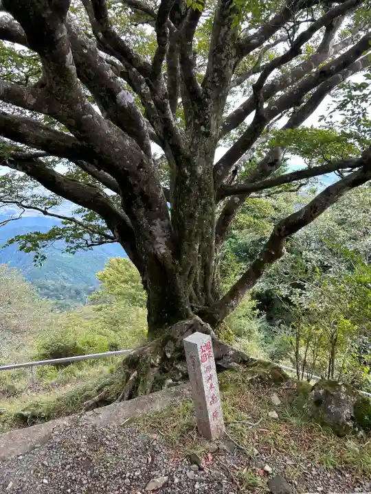 大山阿夫利神社本社(神奈川県)